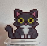 Gina review photo