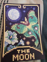 Tyler M Seeloff review photo
