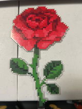 Rivka R. review photo