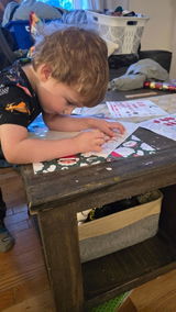 Teresa Johnston review photo