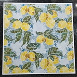 Lozzie review photo