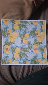 Rachel Jones review photo