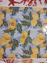 Larissa Briceno review photo