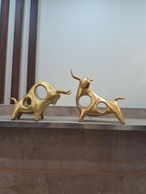 Asim Shehzad review photo