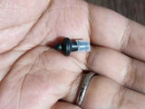 Christian Ralph Nicodemus Regodon review photo
