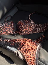 Ariana review photo