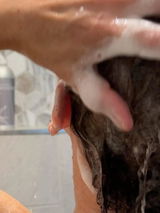 Shampoo