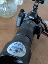 Jenson S. review photo