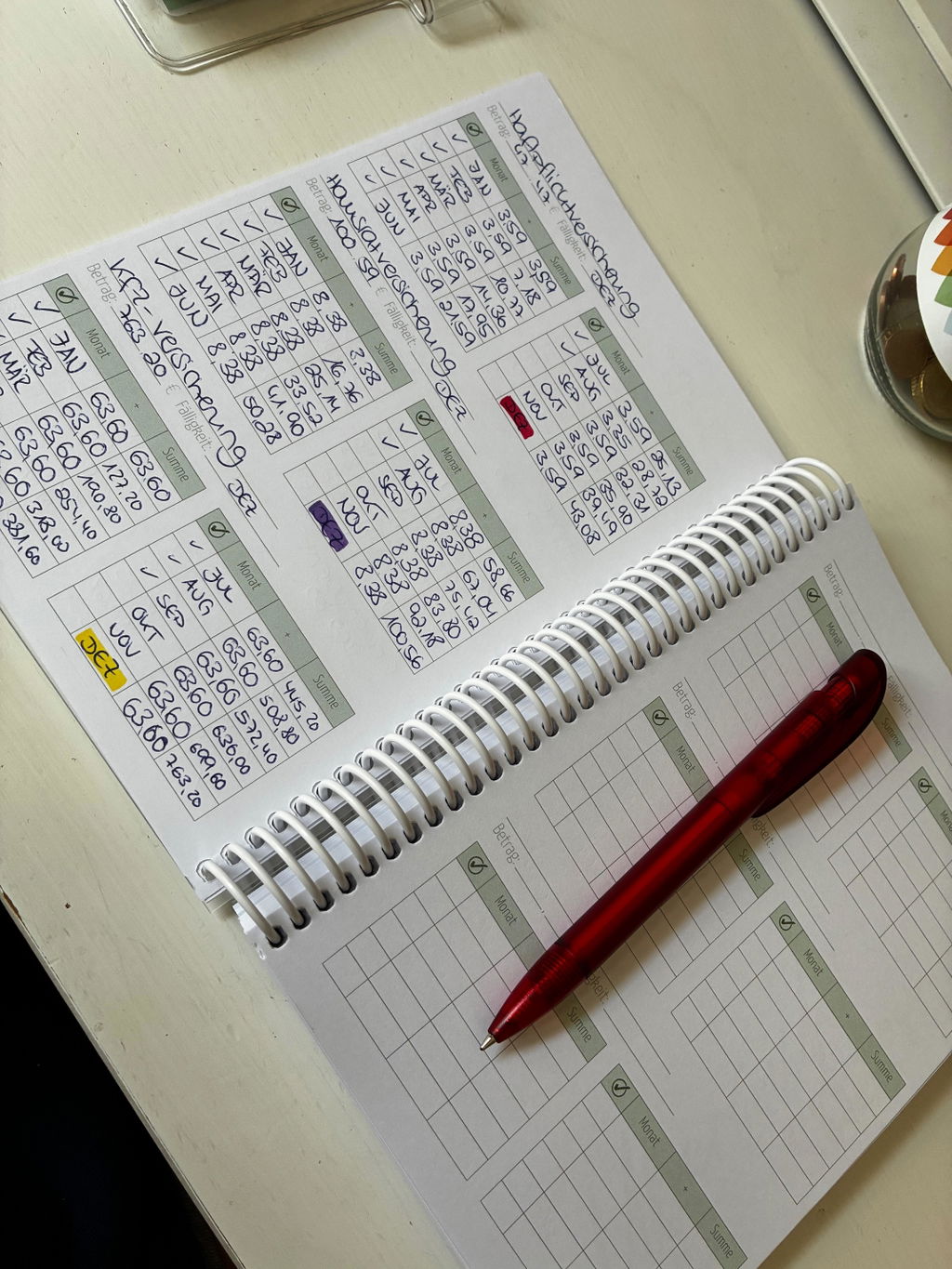 Budgetplaner Ringbuch (undatiert für 12 Monate) inkl. Anleitung