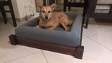 Sundeep D. review photo