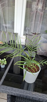 Erika review photo