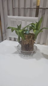 D. K. Aggarwal review photo