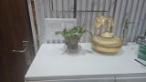 D. K. Aggarwal review photo