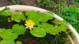 Arnav Keswani review photo