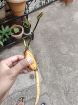 Tushar Ruia review photo