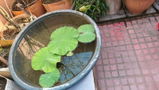 Khushi Sarda review photo