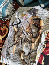 Varun Chaddha review photo