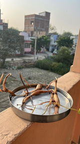 Rajat Puri review photo