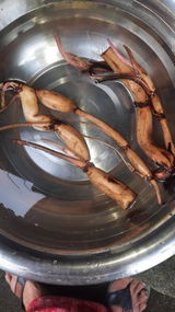 Paramjit Sutradhar review photo
