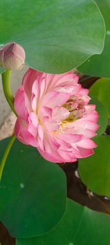 Manoj Soren review photo