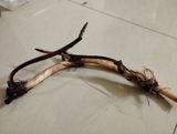 Meera Gogoi review photo