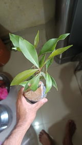 Aahvik Kawdey review photo