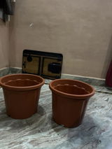 Yashmita Dholakia review photo