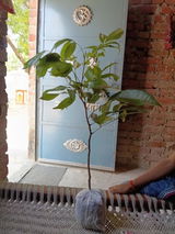 Darshit Keshari review photo