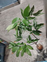Sandeep Rawat review photo