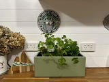 bench top baby | leafy green