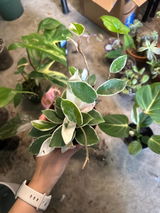 Etsy review photo