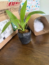 Etsy review photo