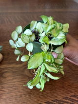 Etsy review photo