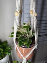 Etsy review photo