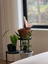 Etsy review photo