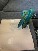 Etsy review photo