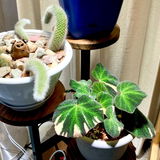 Etsy review photo