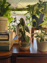 Etsy review photo
