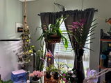 Etsy review photo
