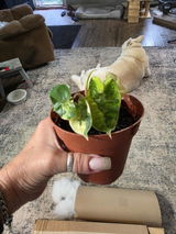Etsy review photo