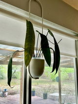 Etsy review photo