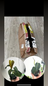 Etsy review photo