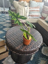 Etsy review photo