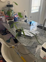 Etsy review photo