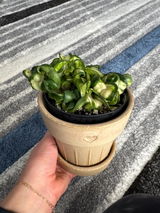 Etsy review photo