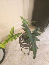 Etsy review photo