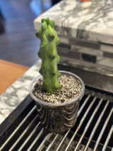 Etsy review photo