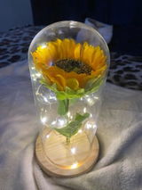 Julien H. review photo