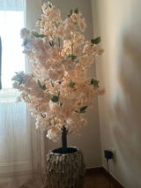 Bernard P. review photo
