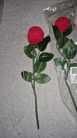 Christian V. review photo